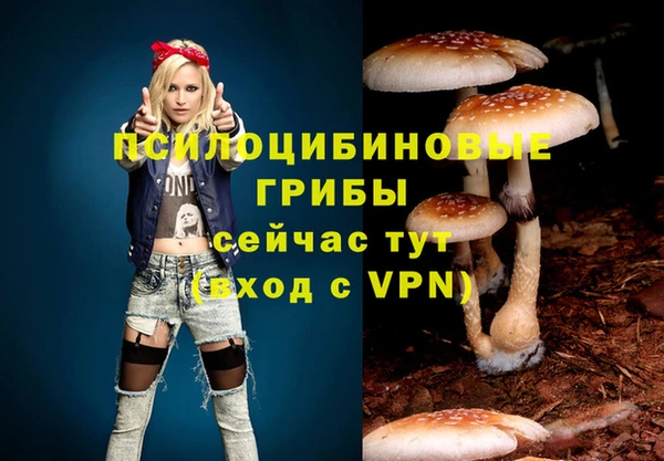 гидропоника Лихославль
