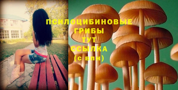 гидропоника Лихославль