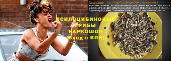 скорость Липки