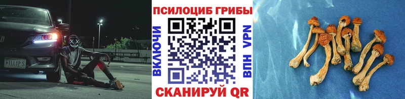 Псилоцибиновые грибы мицелий  сколько стоит  Донецк 