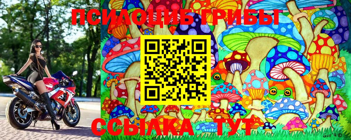 Донецк  Галлюциногенные грибы GOLDEN TEACHER  Вход с VPN  Псилоцибиновые грибы Psilocybe 