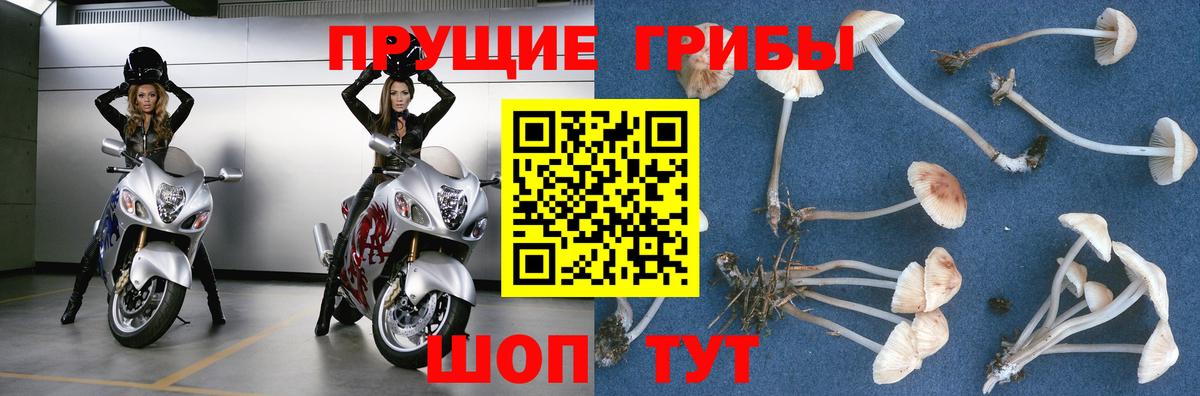 Псилоцибиновые грибы Magic Shrooms Донецк